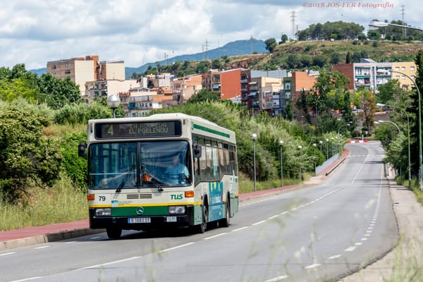 Fuera de su entorno